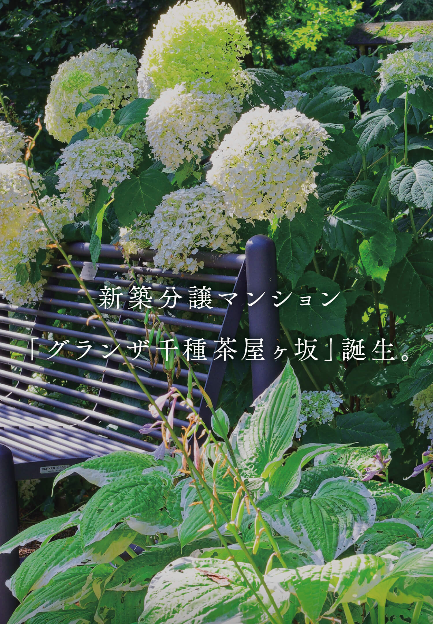茶屋ヶ坂で出逢う、心ほどける日常へ。